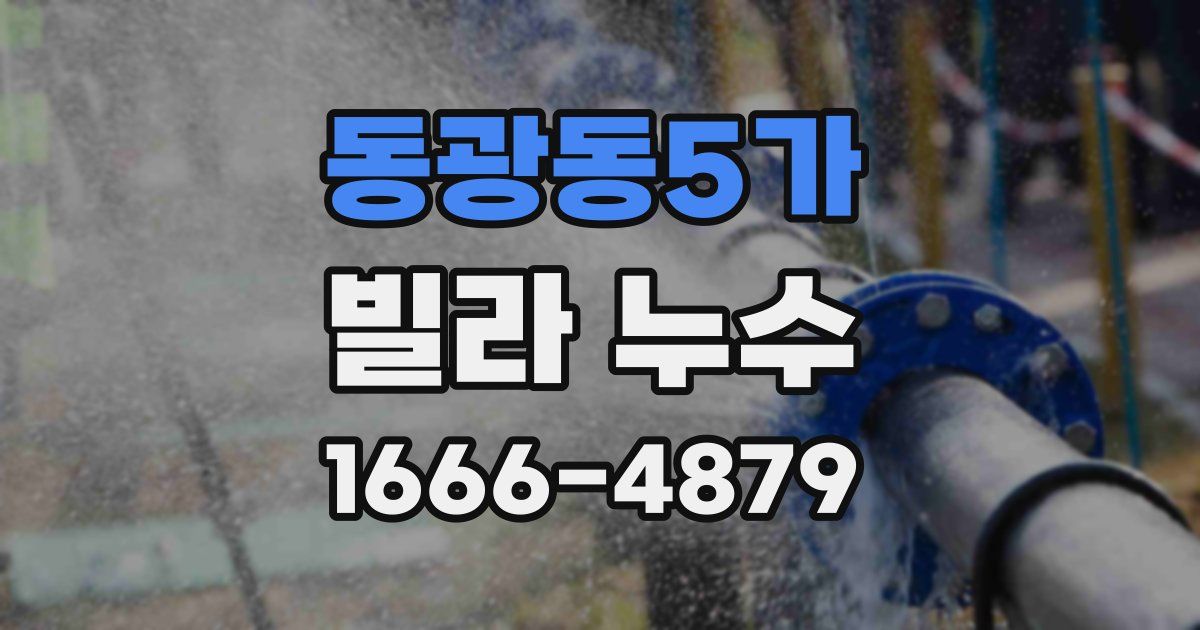 동광동5가 빌라 누수