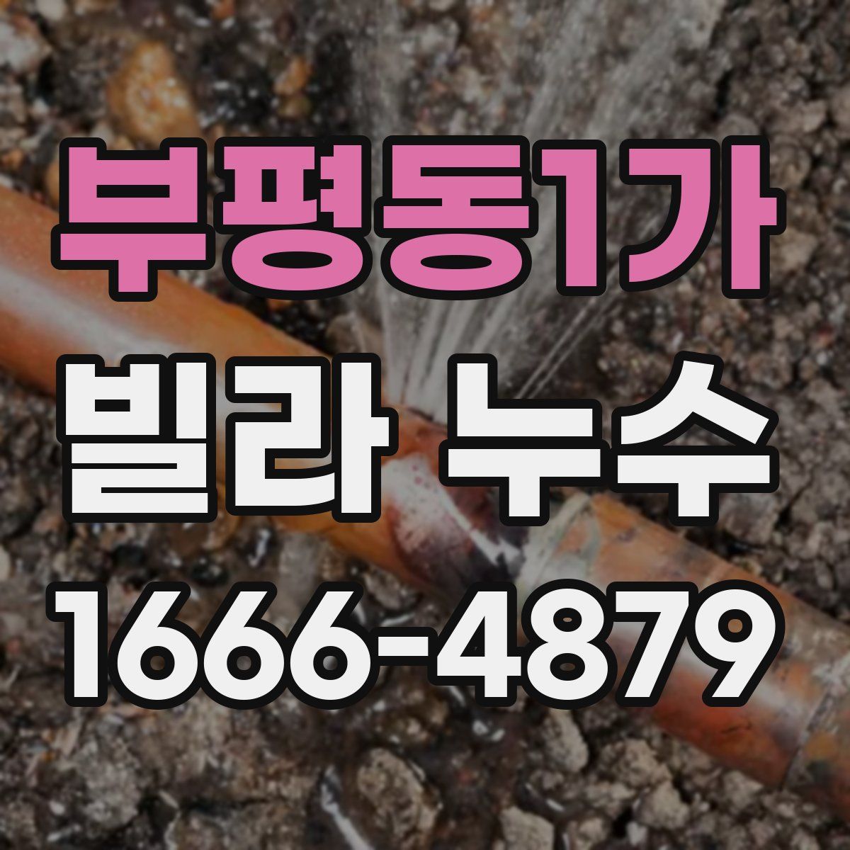 부평동1가 빌라 누수