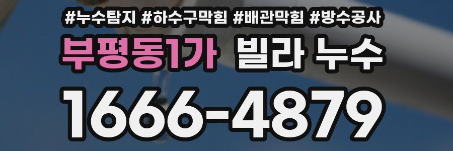 부평동1가 빌라 누수