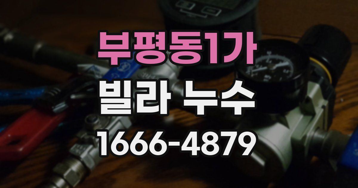 부평동1가 빌라 누수