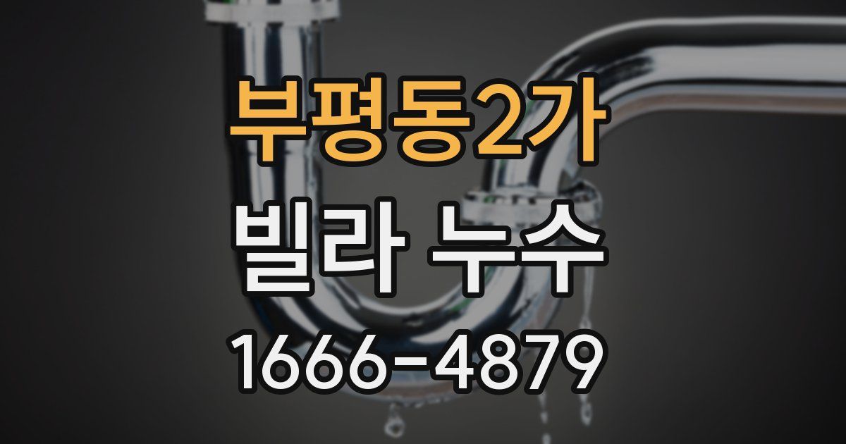 부평동2가 빌라 누수