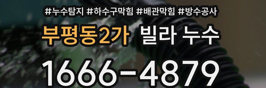 부평동2가 빌라 누수