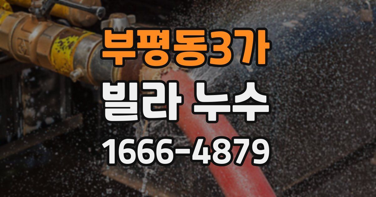 부평동3가 빌라 누수