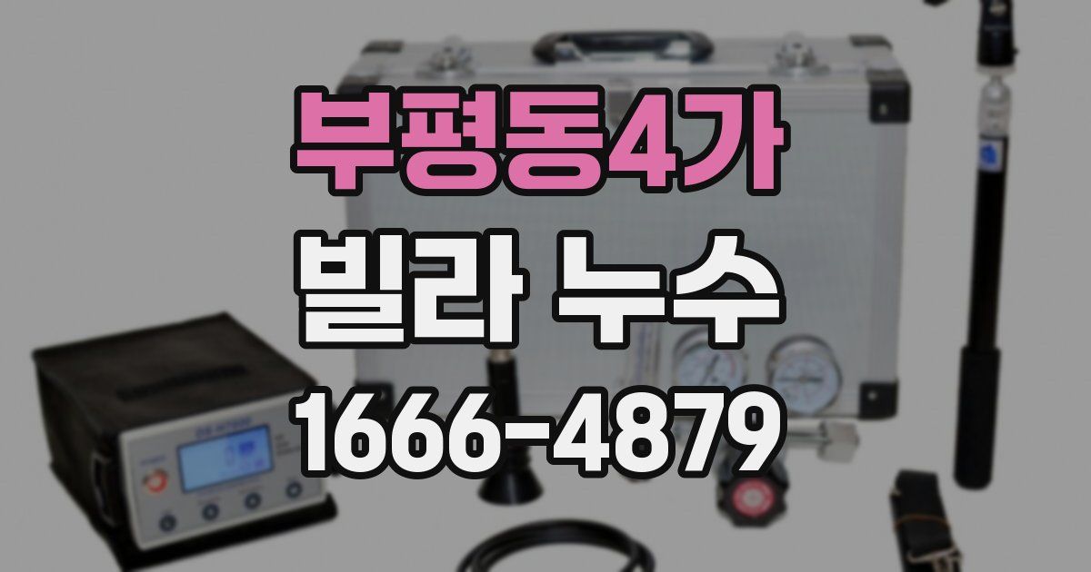 부평동4가 빌라 누수