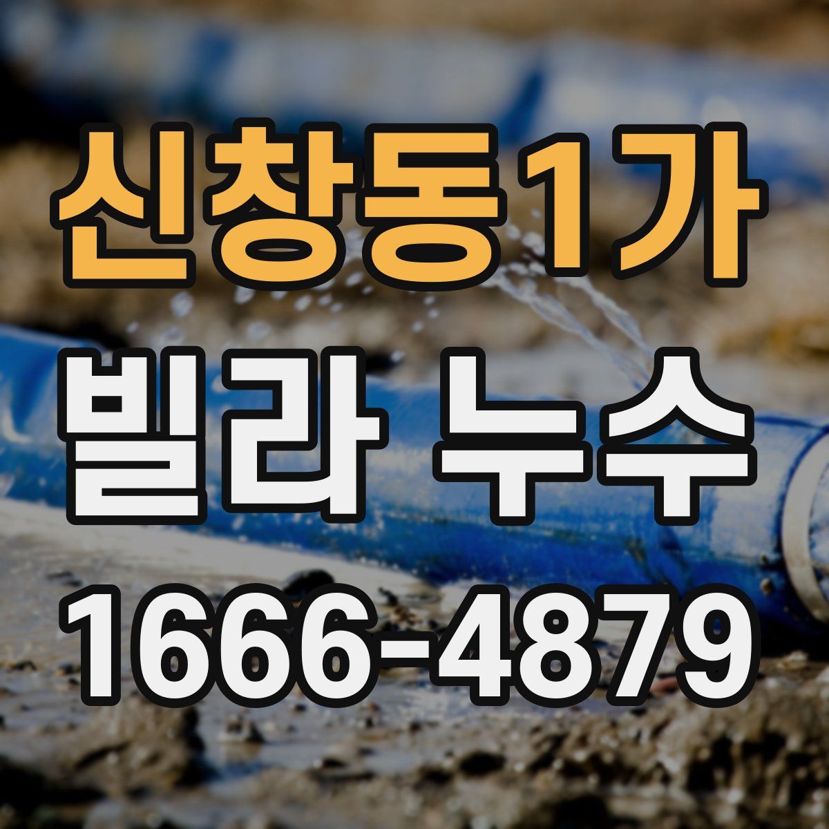 신창동1가 빌라 누수