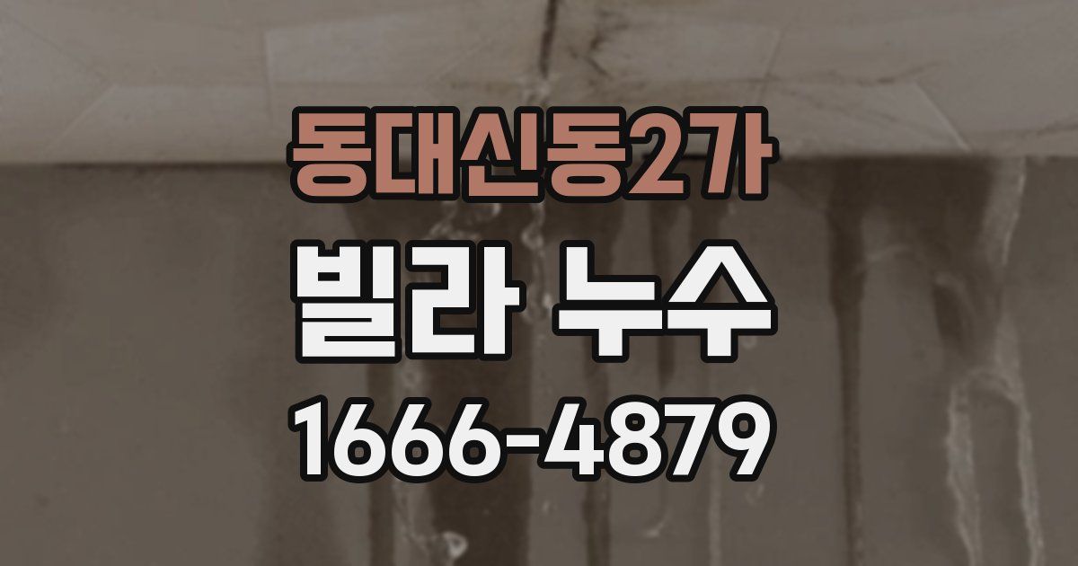 동대신동2가 빌라 누수