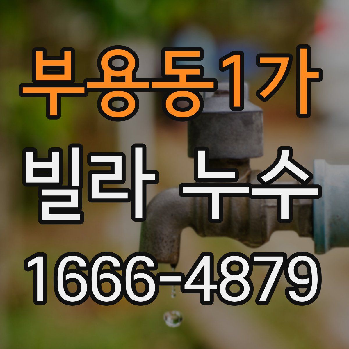 부용동1가 빌라 누수