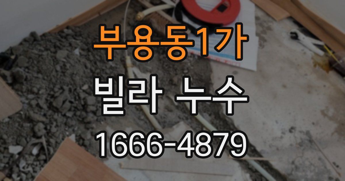 부용동1가 빌라 누수