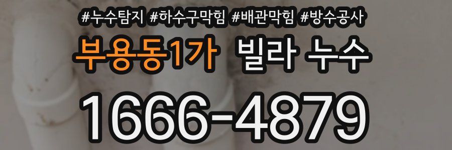 부용동1가 빌라 누수
