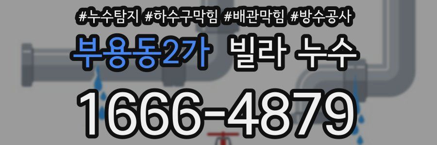 부용동2가 빌라 누수