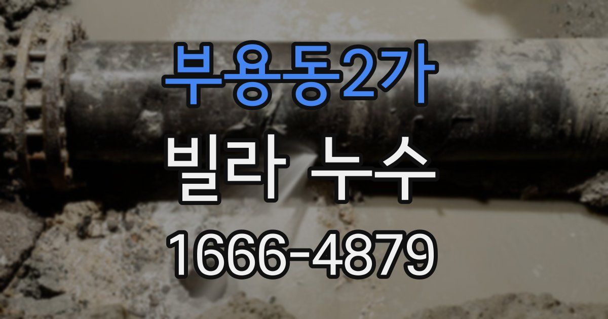 부용동2가 빌라 누수