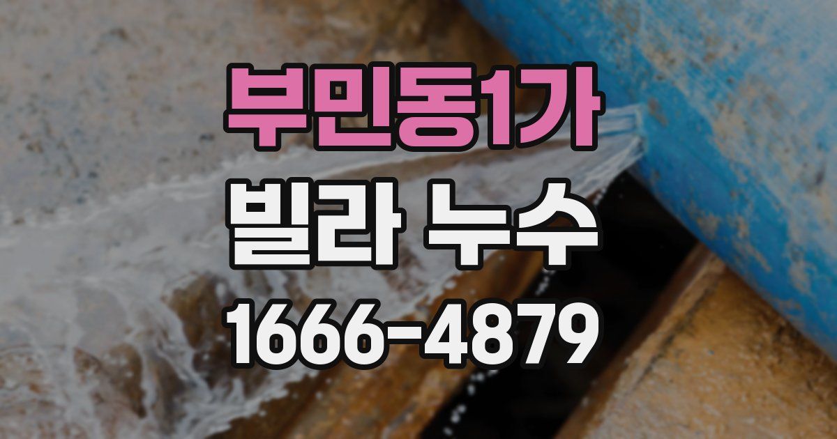 부민동1가 빌라 누수