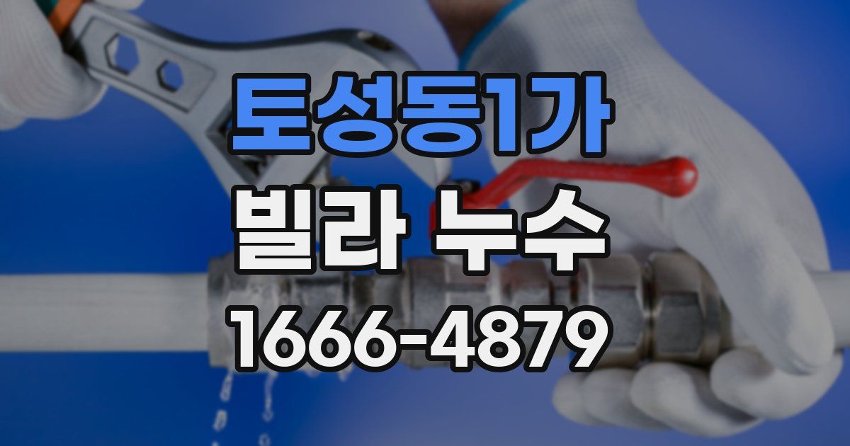 토성동1가 빌라 누수
