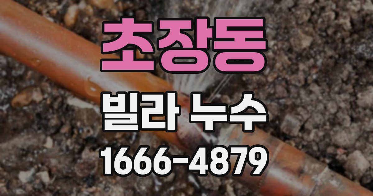 초장동 빌라 누수