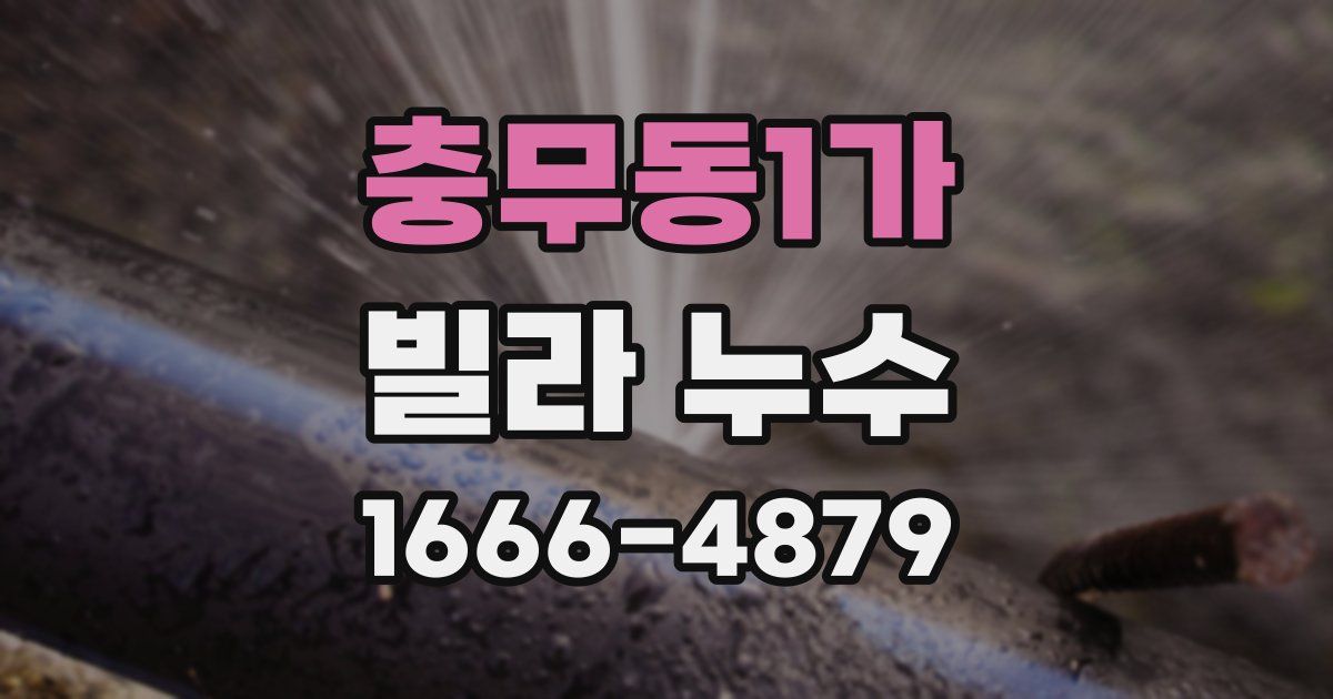 충무동1가 빌라 누수