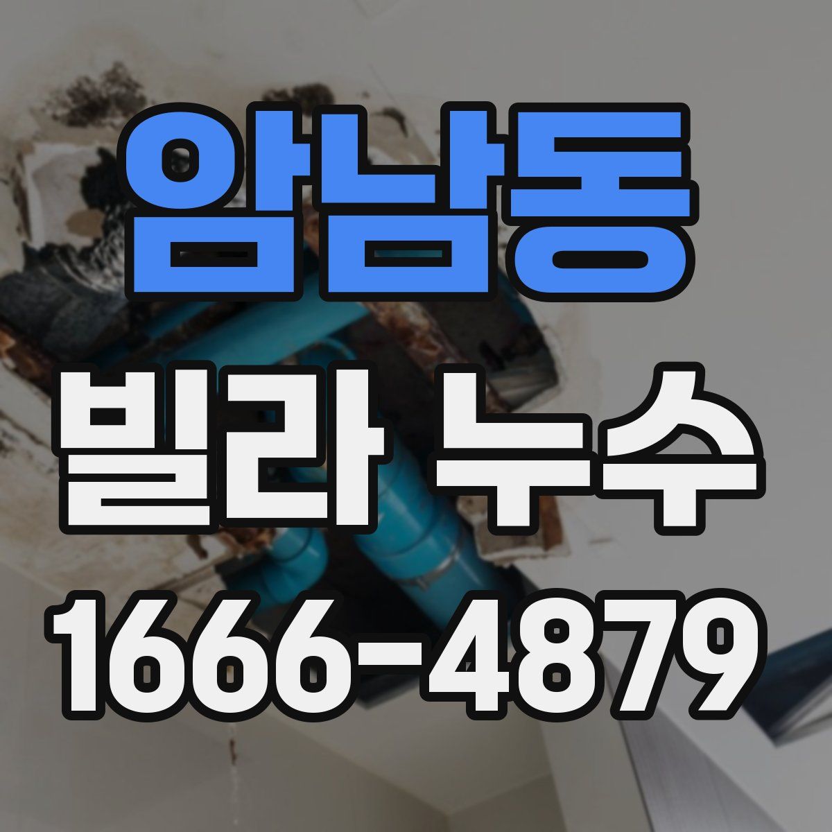 암남동 빌라 누수