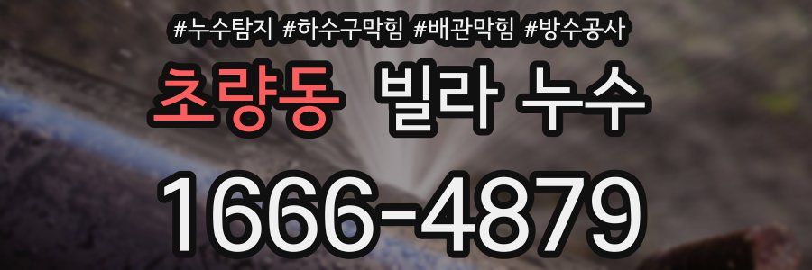 초량동 빌라 누수