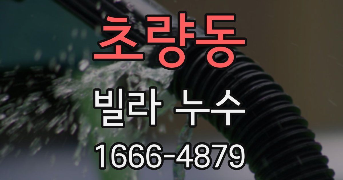 초량동 빌라 누수