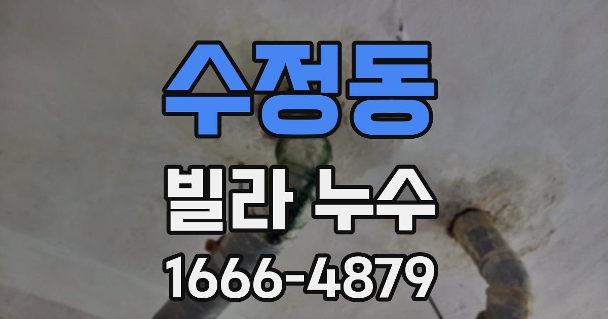 수정동 빌라 누수