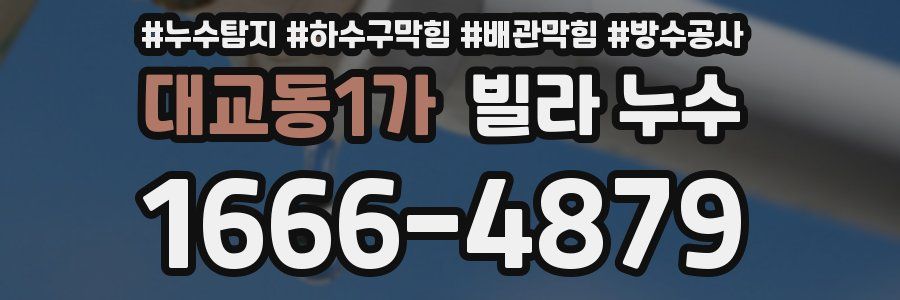 대교동1가 빌라 누수