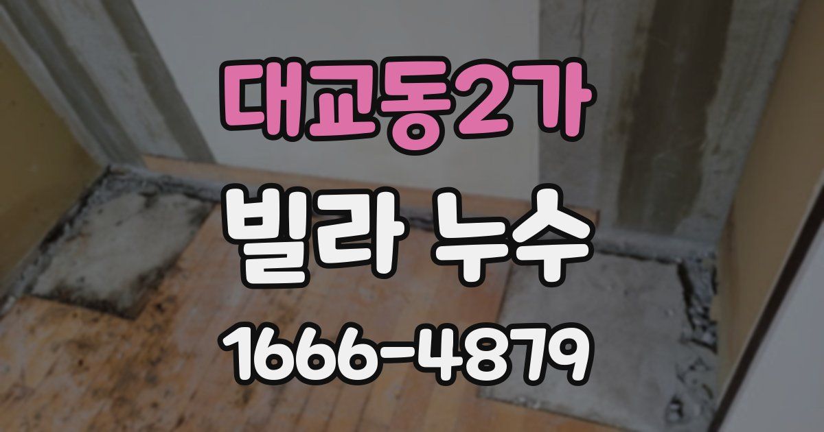 대교동2가 빌라 누수