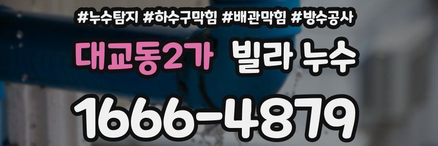 대교동2가 빌라 누수