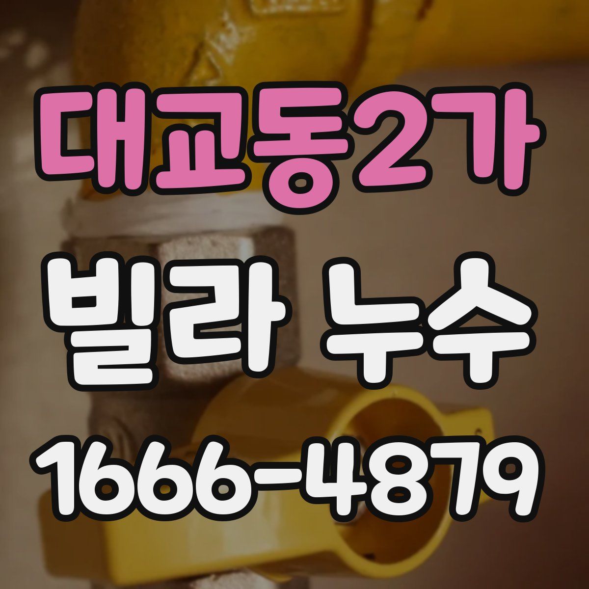 대교동2가 빌라 누수