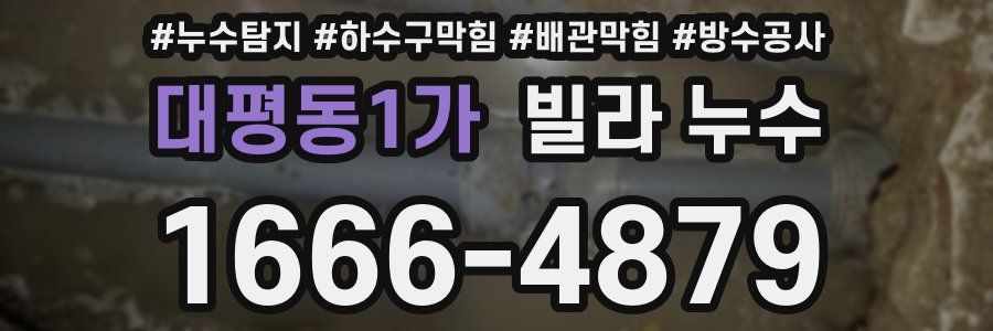 대평동1가 빌라 누수