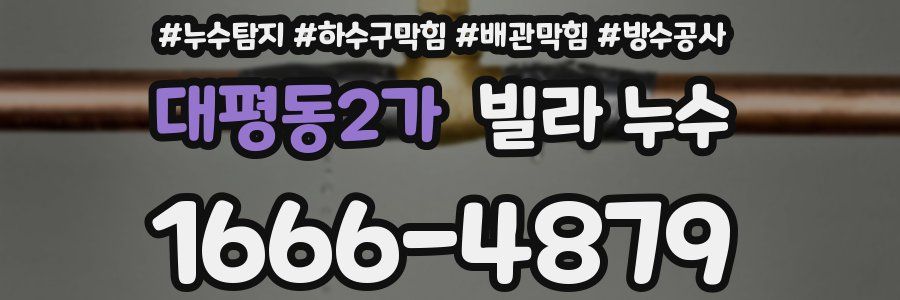 대평동2가 빌라 누수