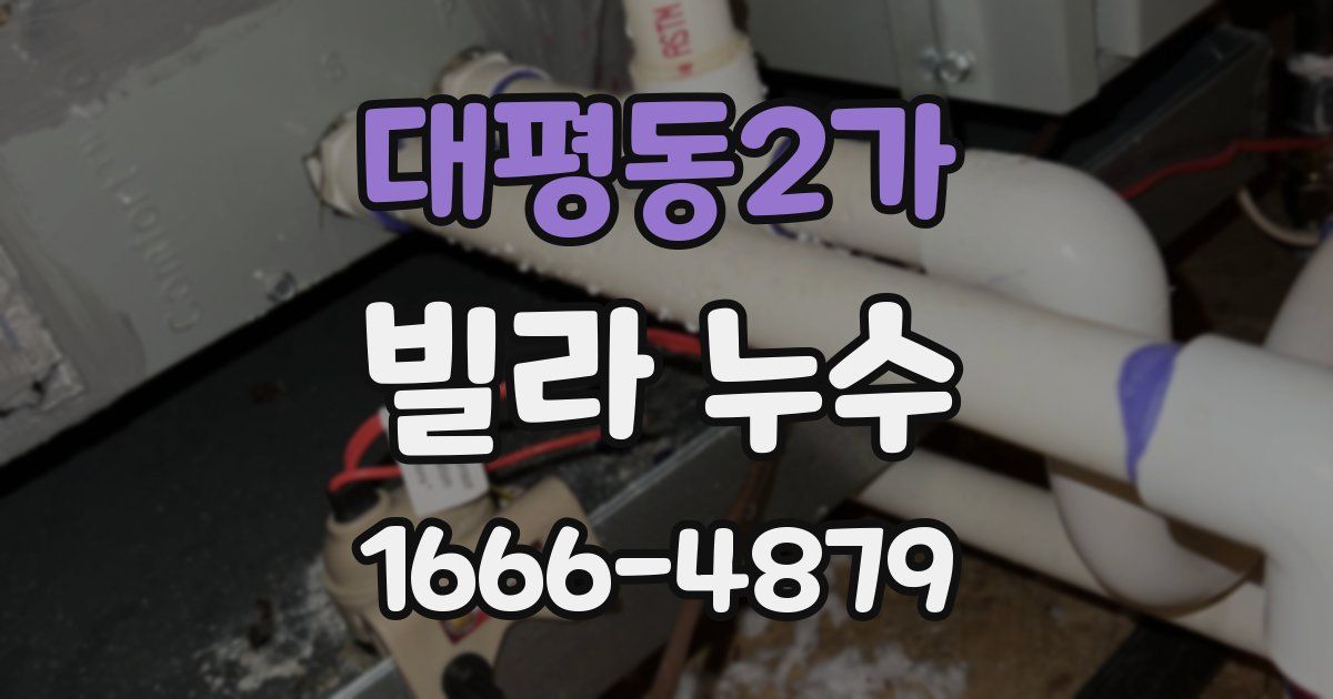 대평동2가 빌라 누수