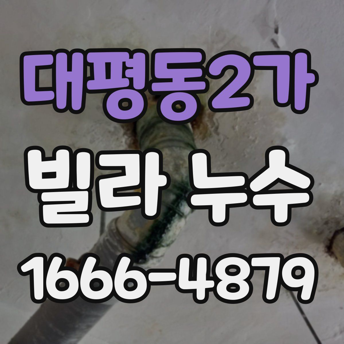 대평동2가 빌라 누수