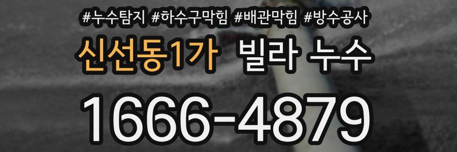 신선동1가 빌라 누수