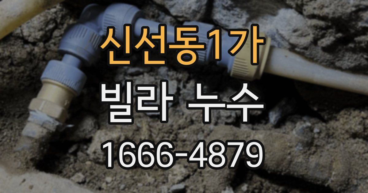신선동1가 빌라 누수