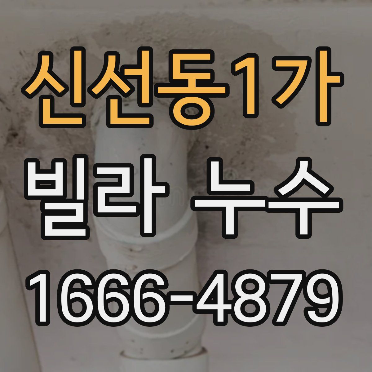 신선동1가 빌라 누수