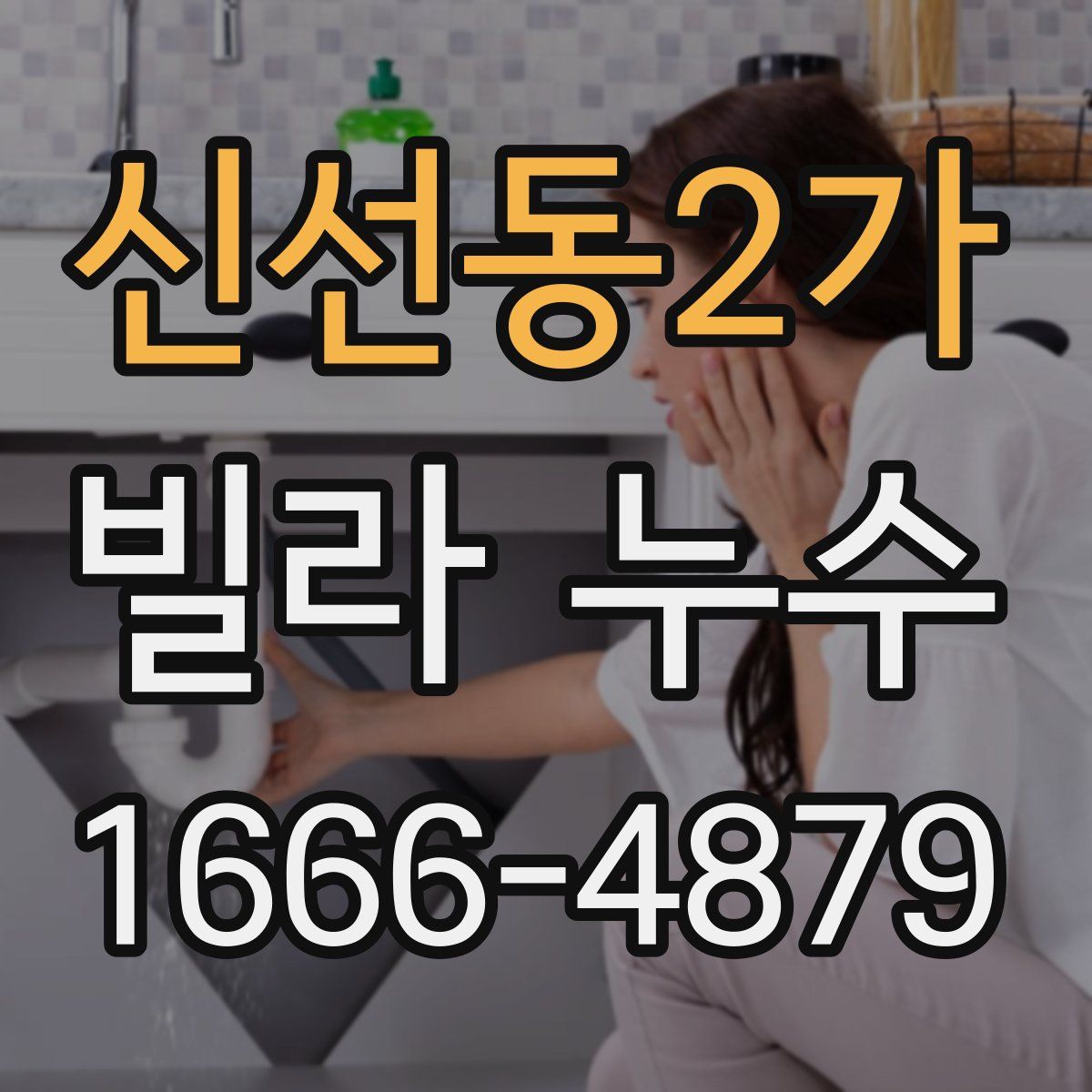 신선동2가 빌라 누수