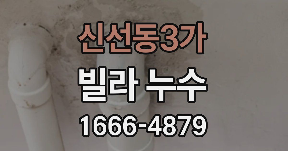 신선동3가 빌라 누수