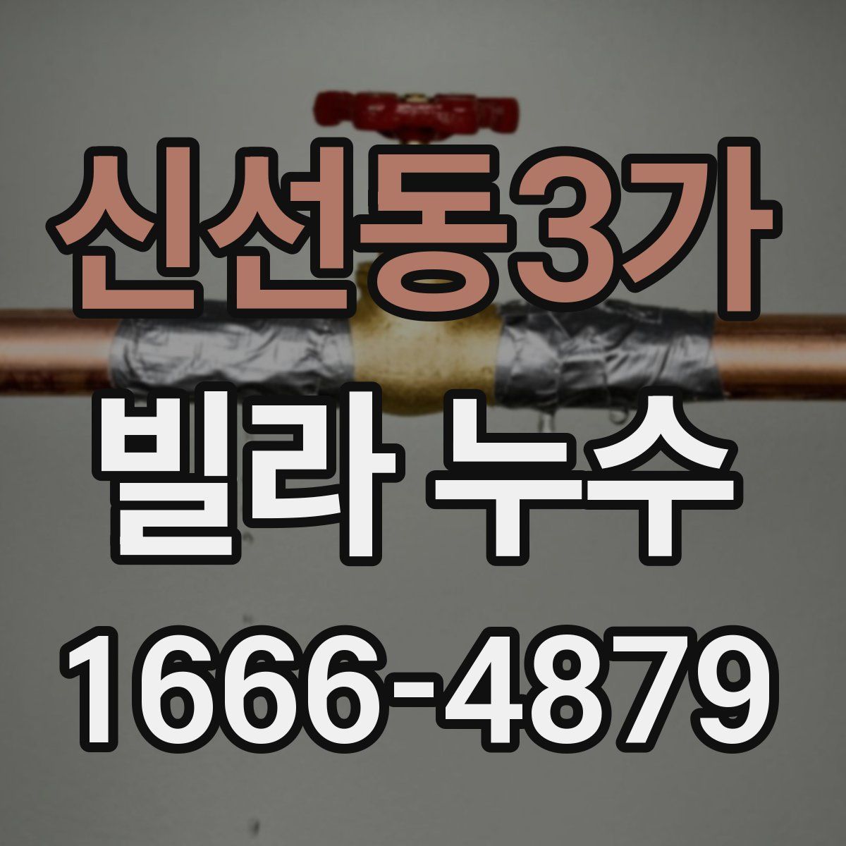신선동3가 빌라 누수