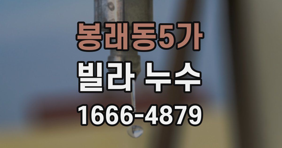 봉래동5가 빌라 누수