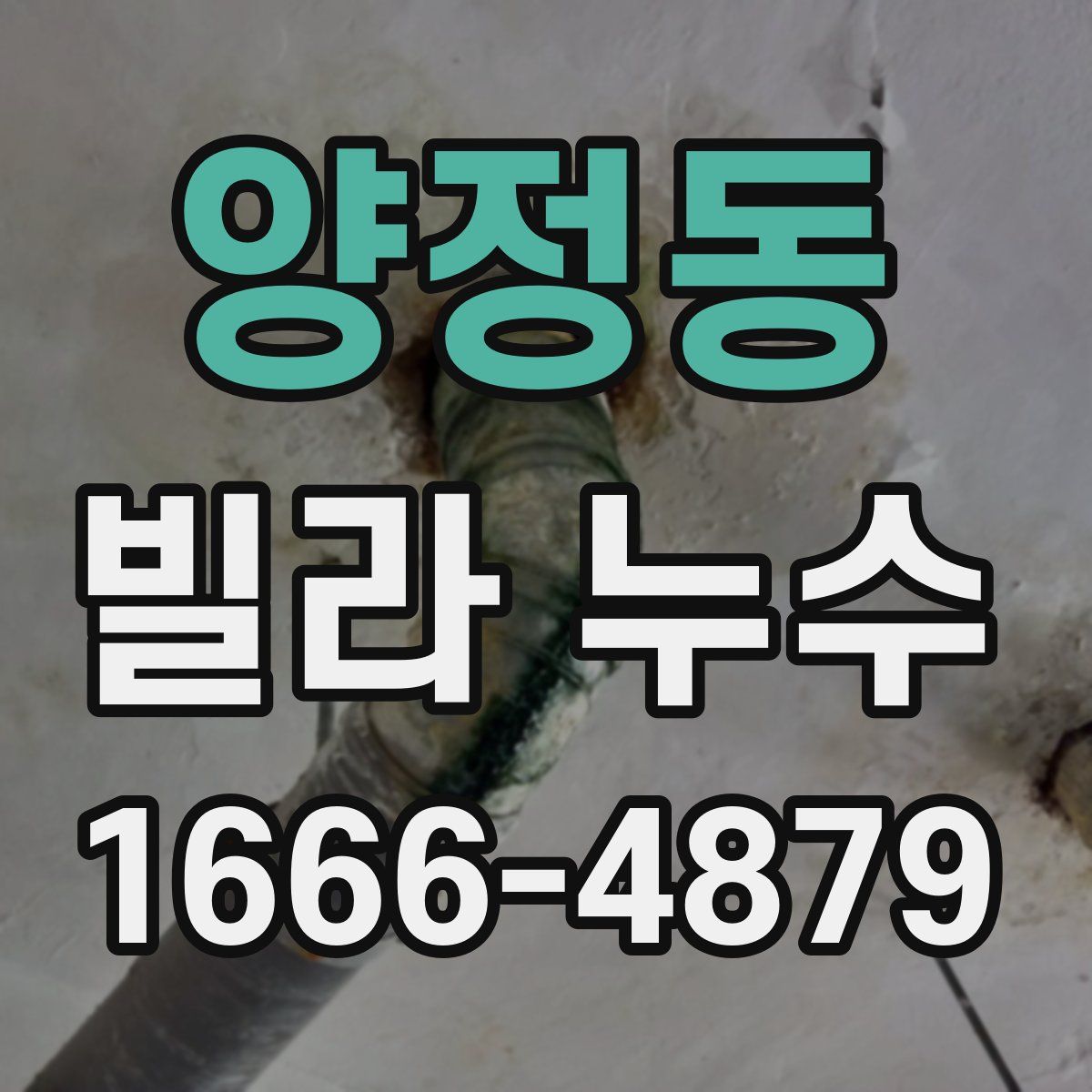양정동 빌라 누수