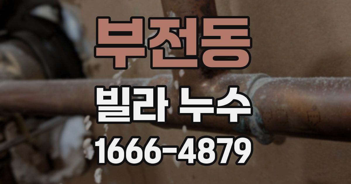 부전동 빌라 누수