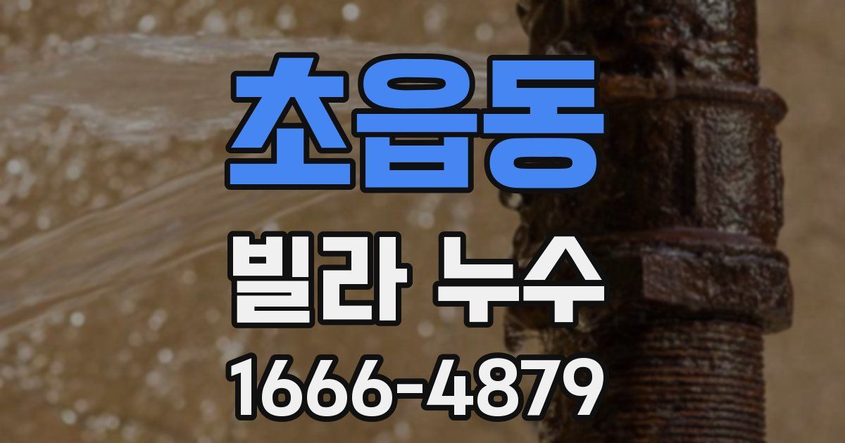 초읍동 빌라 누수