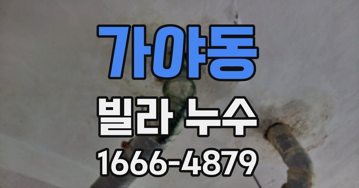 가야동 빌라 누수