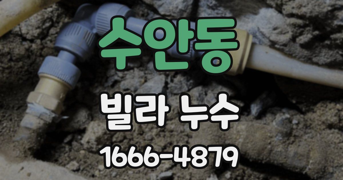 수안동 빌라 누수
