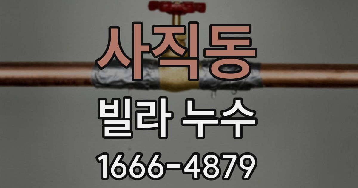 사직동 빌라 누수