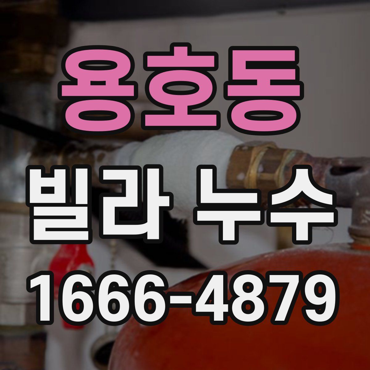 용호동 빌라 누수