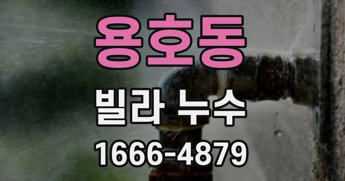 용호동 빌라 누수