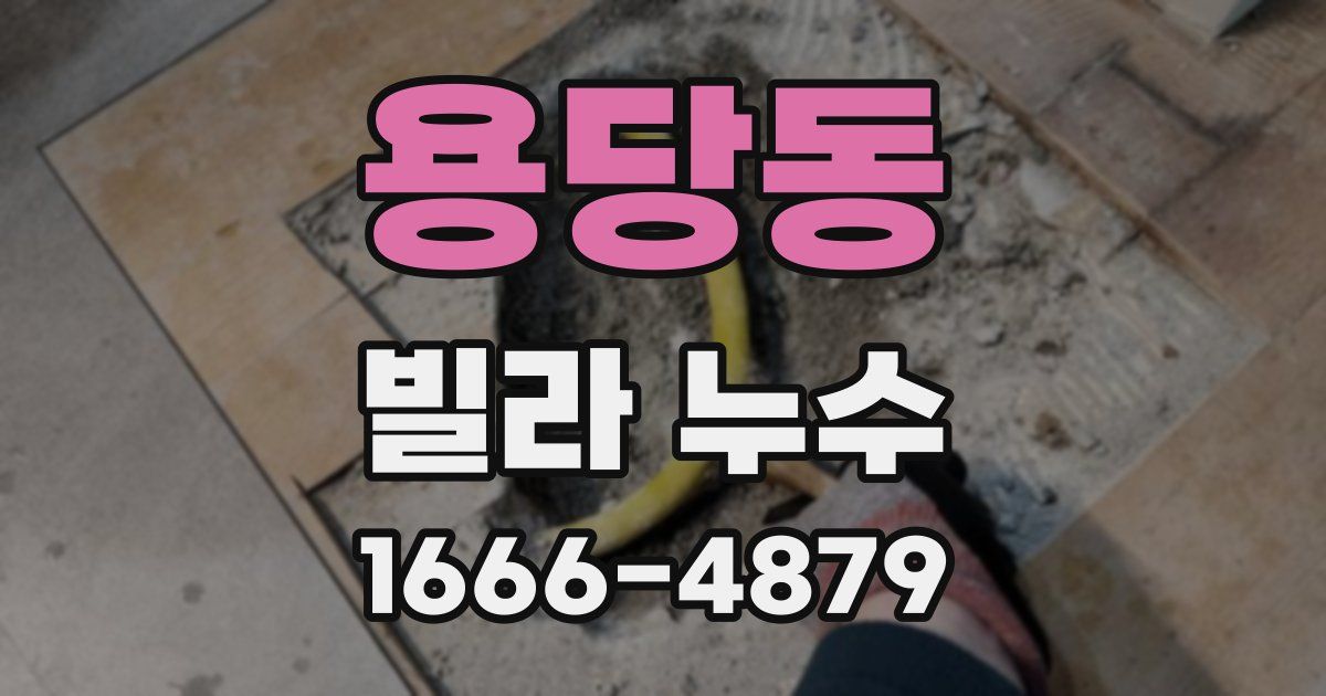 용당동 빌라 누수