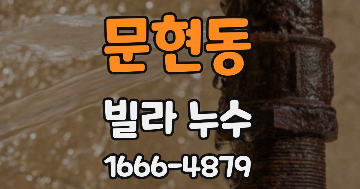 문현동 빌라 누수