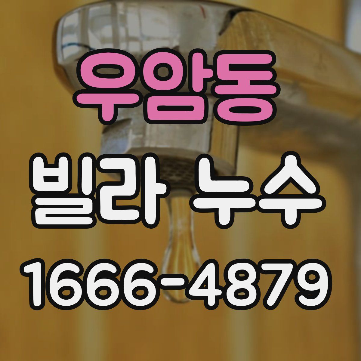 우암동 빌라 누수