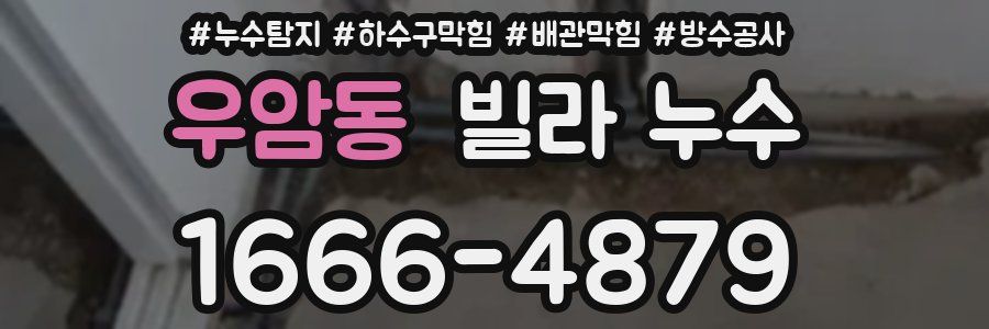 우암동 빌라 누수